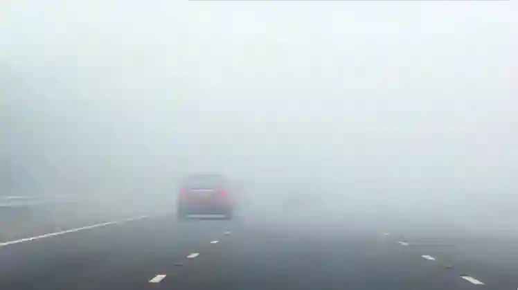 الوطني للأرصاد ينبه السائقين من ضباب كثيف من فجر الجمعة 