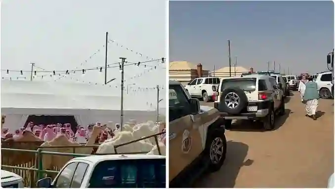 تفاصيل جديدة عن وقف مزاد كبير للإبل بسبب فضيحة مالية في مصادر التمويل 